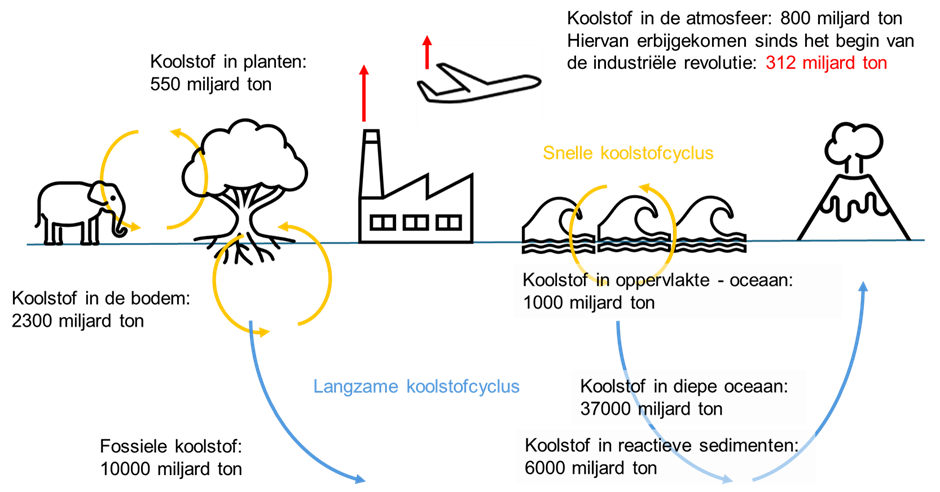 ecologische voetafdruk